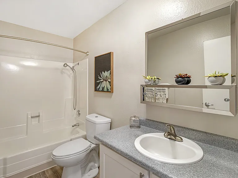 Model Bathroom
