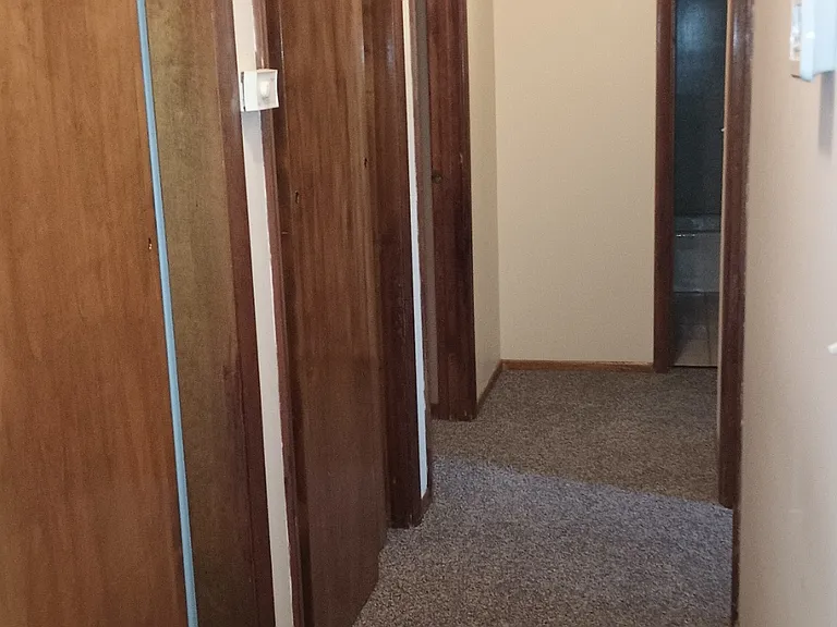 203 Ellen Ave — Photo 5