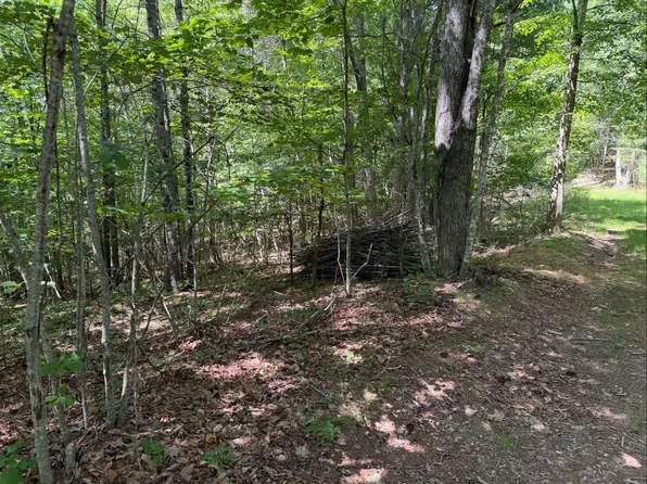 Tdb Broad Shoals Rd, Riner, VA 24149