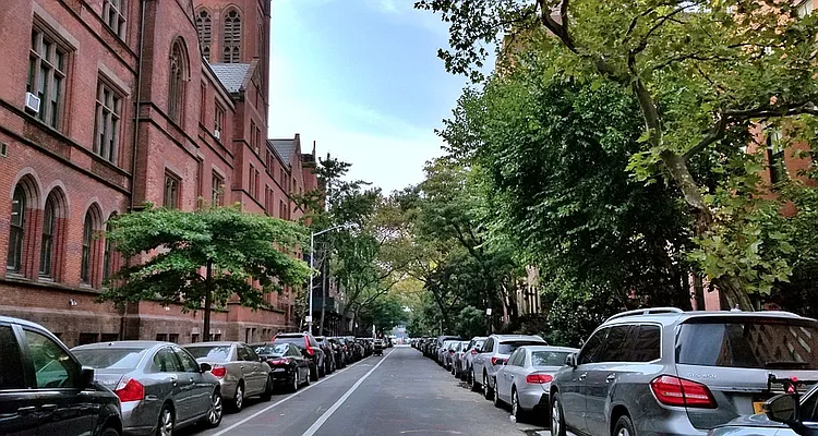 Rented by Domus Realty | media 19