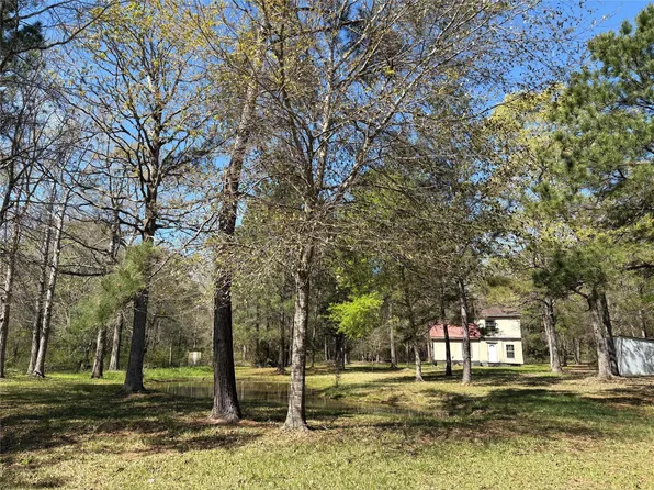 1300 Cherry Creek Dr, Shepherd, TX 77371