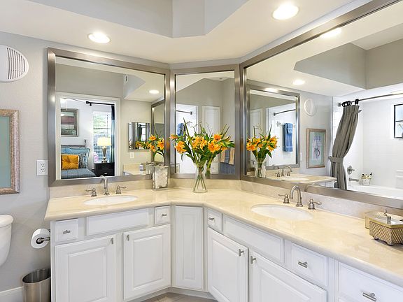 Lantana Hills Stunning Master Bath