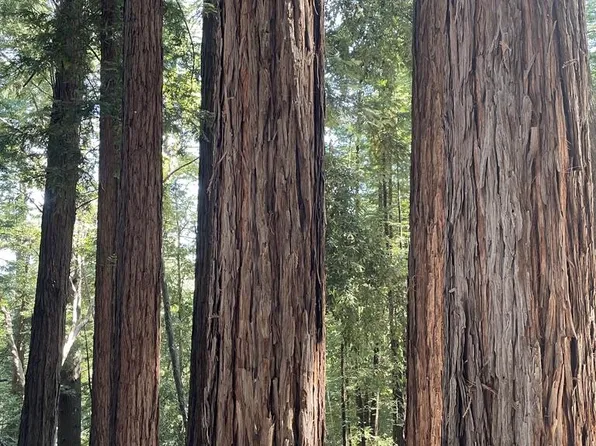 (undisclosed Address), Boulder Creek, CA 95006