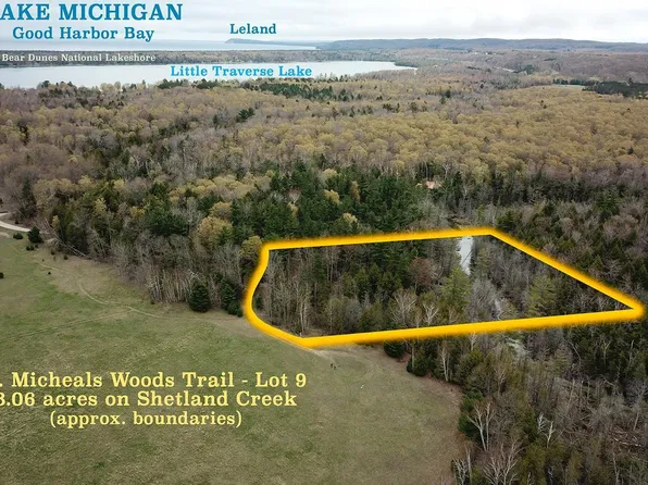 9 S Michaels Wood Trl, Maple City, MI 49664