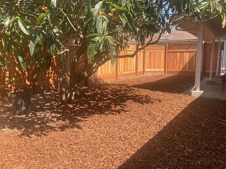 Winona Ln — Photo 10