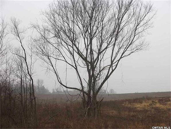 2nd image of 318 Trenton Hwy