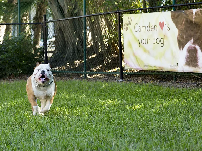 Camden Doral — Photo 24