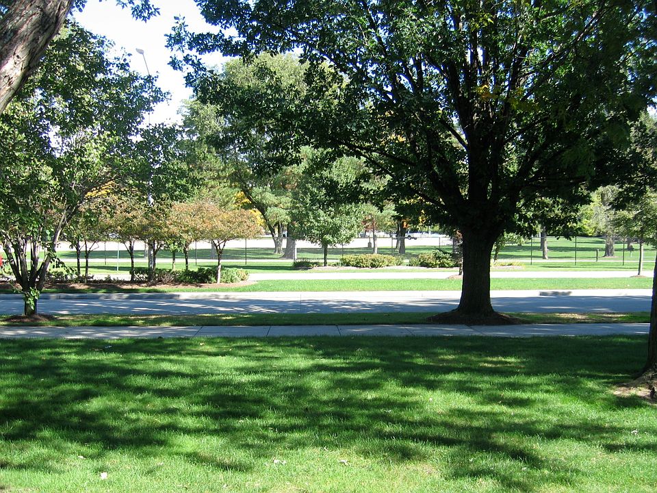 1st image of 22875 Lakeshore Dr #541