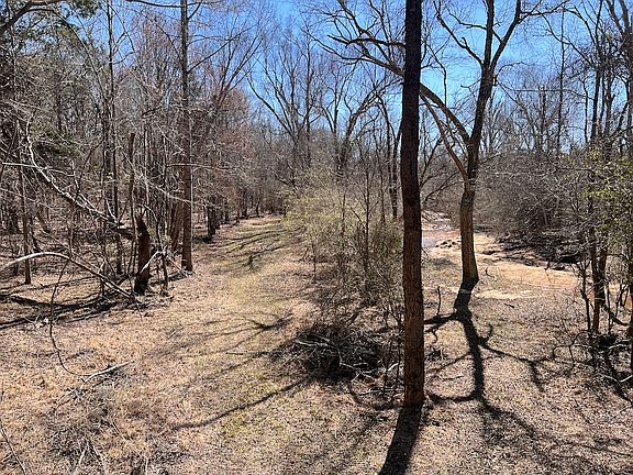 5th image of 228 Brannon Rd