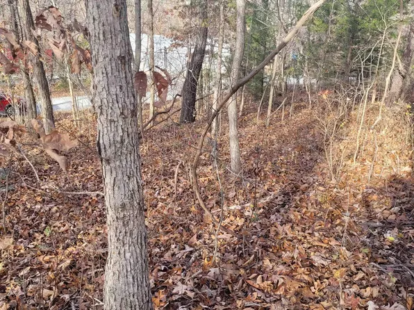 LOT 8 Plymouth Rock Rd, Edwards, MO 65326