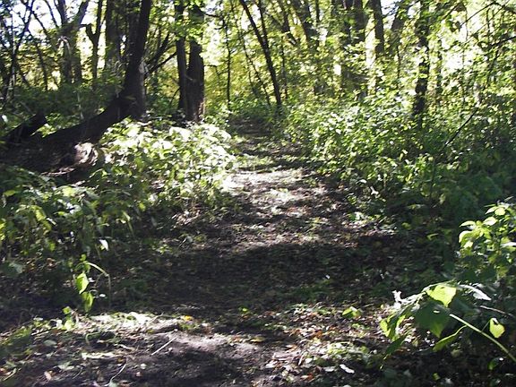 4th image of Mississippi River Lot For Sale