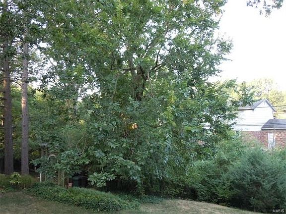 View of the back yard from the deck