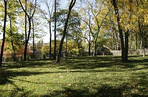 Check Out this Backyard!