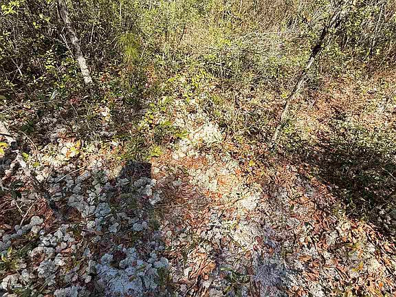 2nd image of LOT 17 Crossing Ct