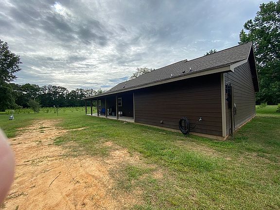 Back view