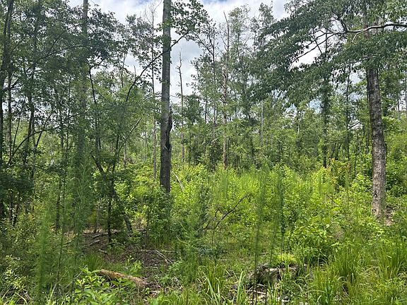 5th image of 0 County Road 53