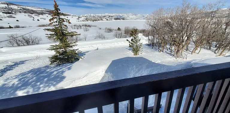 10019 E Ridge Pine Dr — Photo 25