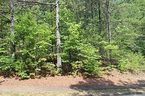 1st image of 47424746 Buckingham Dr Lot 75/76
