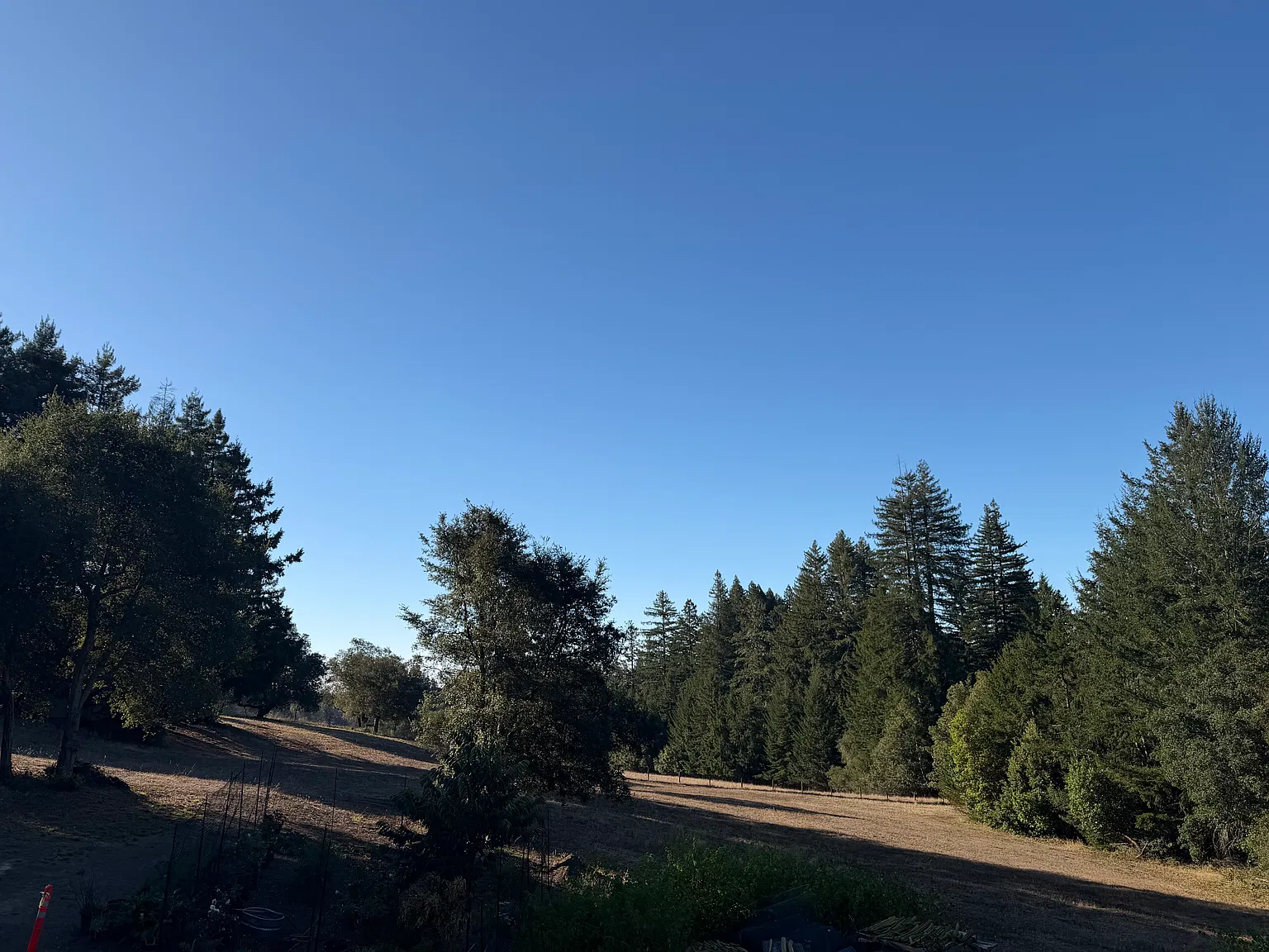 Junco Dr, Bonny Doon — Photo 2