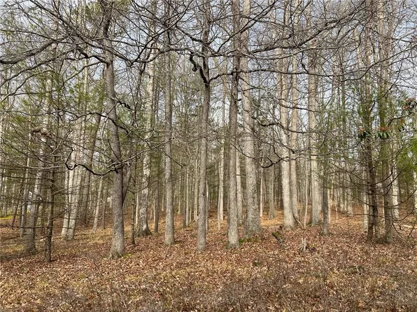 Lot 8 Ivan Franco Road, Glen Spey, NY 12737