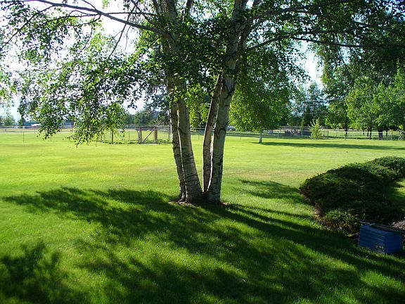Completely fenced