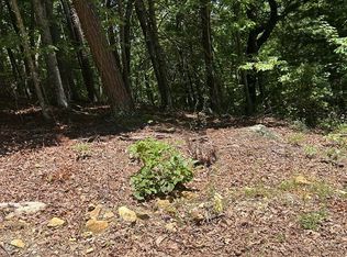 0 Skyview Acres Dr Lot 10, Murphy, NC 28906