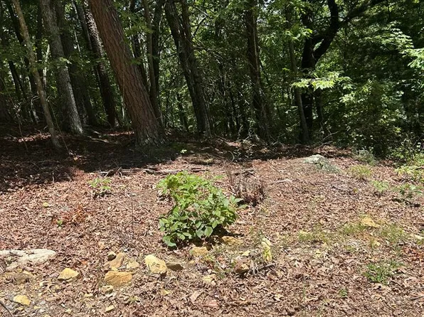0 Skyview Acres Dr Lot 10, Murphy, NC 28906