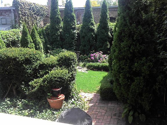 Yard & BBQ Area