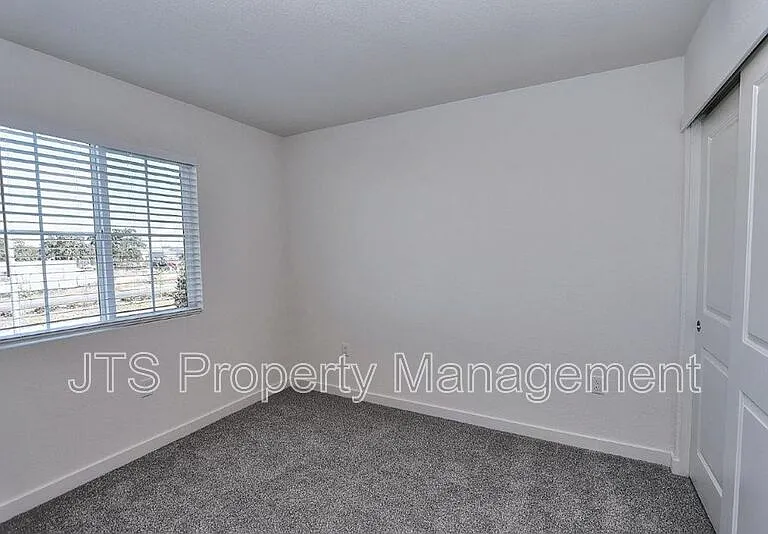 2097 Shady Tree Cir — Photo 46