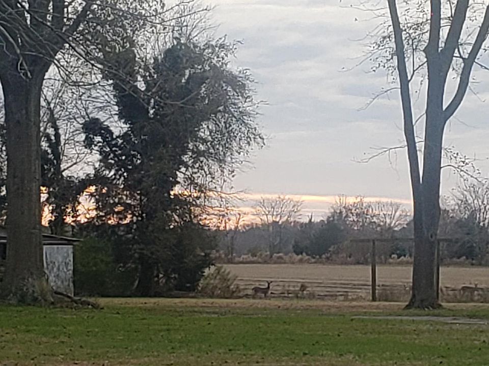 2nd image of 0 Lighthouse Rd