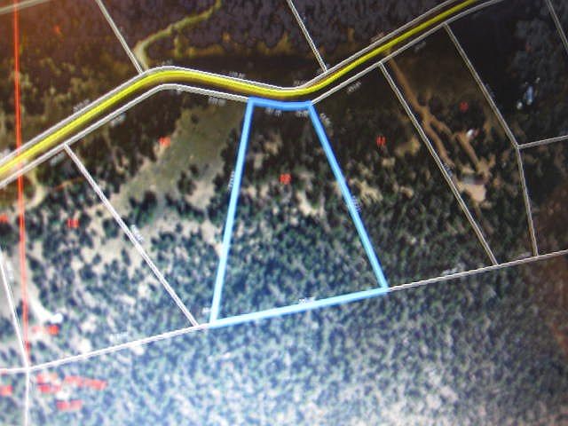 2nd image of 1482 Texas Creek Ln