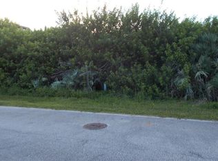 Bass Ave, New Smyrna Beach, FL 32169