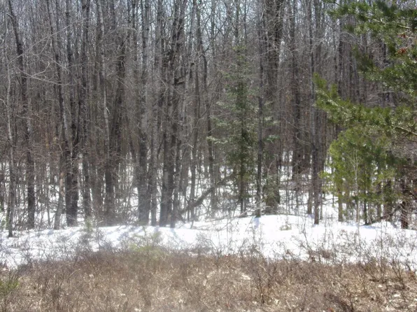 12131 North BRANCH ROAD, Suring, WI 54174