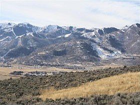 5th image of 785 Mountain Holly Ln
