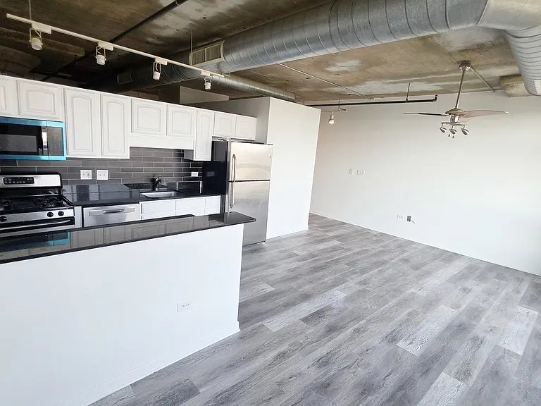 1550 S Blue Island Ave #722 — Photo 2