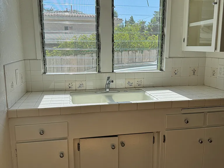 411-413 E Randolph St #A — Photo 12