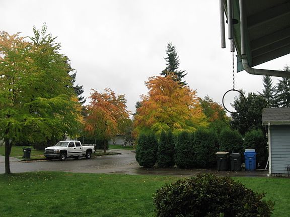 3rd image of 4309 Quail Dr SE Unit 4309
