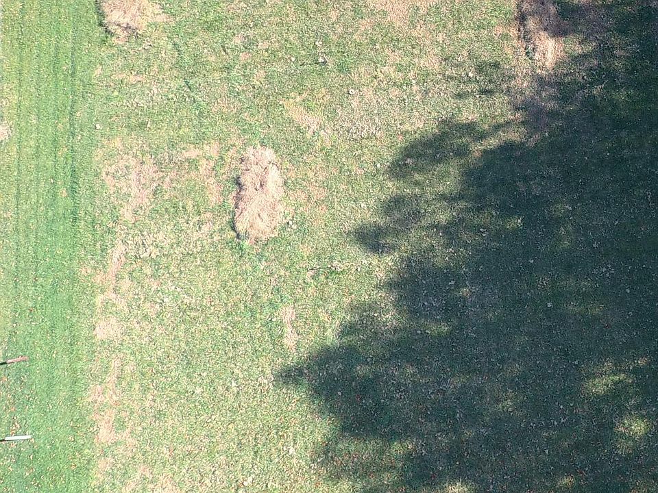 2nd image of 541 Grays Creek Rd