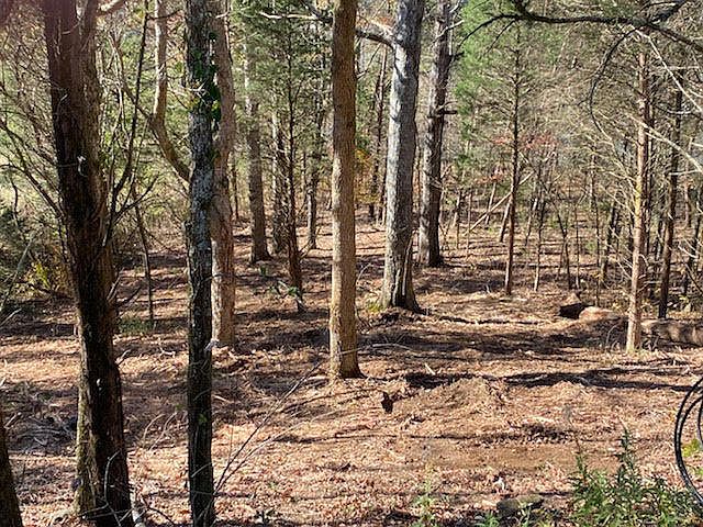 2nd image of 108 Noya Ln Lot 5