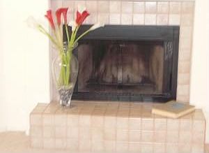 Cozy Fireplace