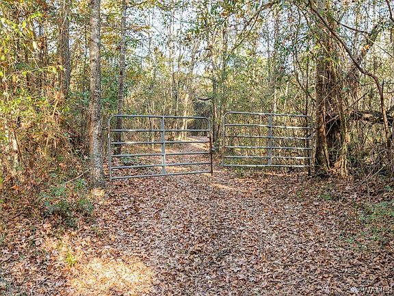 3rd image of 0 County Road 231