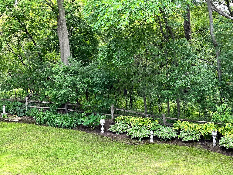 3127 County Road 101 — Photo 4