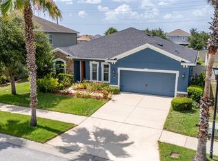 11038 Spring Point Cir, Riverview, FL 33579