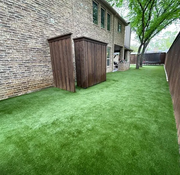 Turfed Backyard
