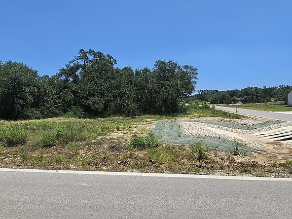 5th image of 34716 ANSLEY RIDGE TRL LOT 6
