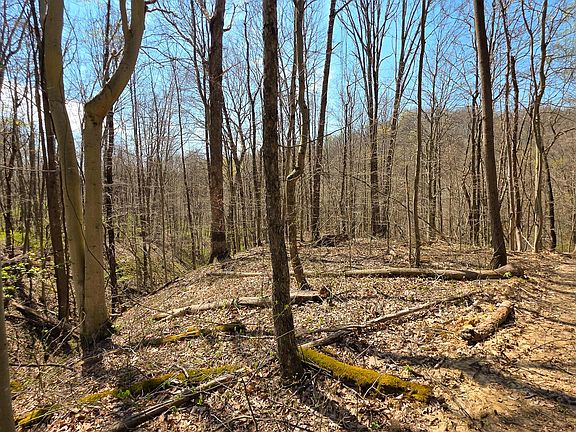 4th image of 0 Dennis Rd Tract 4
