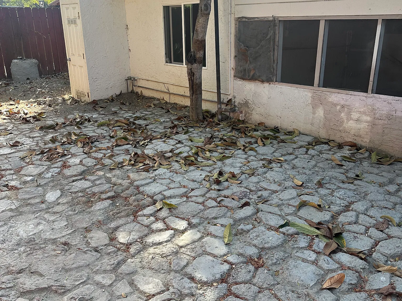 3 bed, 1200 sqft, $3,800 — Photo 4