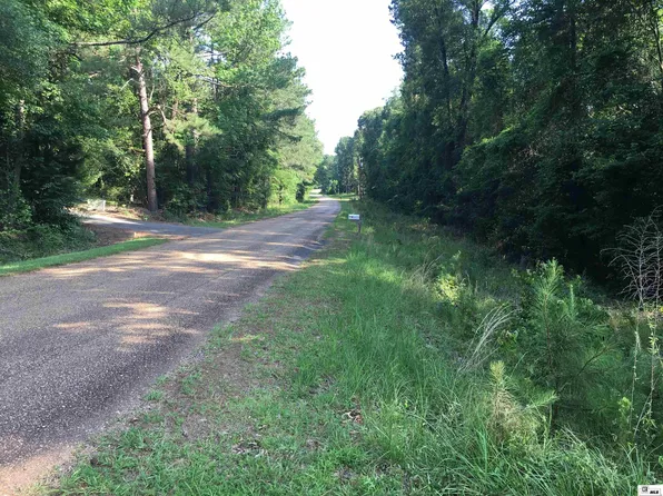 1121 Williams Colony Rd, Downsville, LA 71234