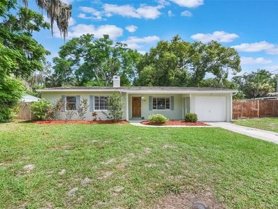 315 W 11th Ave, Mount Dora, FL, 32757