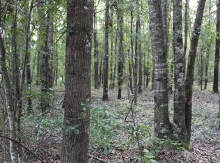 SW Summerset Way, Madison, FL 32340